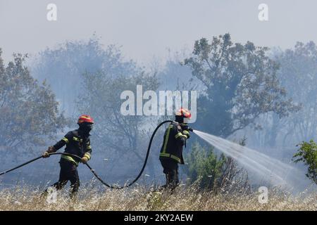 Feu dans une zone ouverte près du site archéologique Velika Mrdakovica dans l'arrière-pays de Vodice, en Croatie, sur 13 juillet 2022. Environ 30 pompiers et une douzaine de véhicules sont au sol, et deux Canadairs se sont joints aux forces terrestres pour éteindre l'incendie. Il y a des forêts de pins au-dessus, une faible végétation et des bâtiments en danger. Photo: Hrvoje Jelavic/PIXSELL Banque D'Images