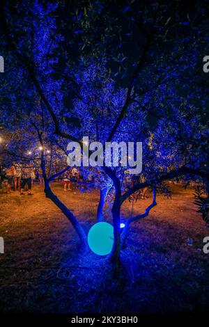 Le batane et la mer sont transformés dans une galerie unique d'installations d'art mobile, programme pour les enfants et spectacle de lumière lors de l'événement 'Rhapsody in Blue' dédié à la mer d'azur à Fazana, Croatie sur 28. Août 2022. Photo: Srecko Niketic/PIXSELL Banque D'Images