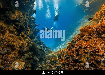 Plongée sous-marine explorant le récif Gota Abu Ramada sur 30 septembre 2022 à Hurghada, Mer Rouge, Egypte. Gota Abu Ramada est un récif ovale de taille moyenne entouré d'un fond marin plat et peu profond, situé à environ 1 heures en bateau, au sud de Hurghada. C'est l'un des sites de plongée les plus populaires de la région. Hurghada, et il est également appelé l'Aquarium, en raison de la variété et du grand nombre d'espèces de poissons. La profondeur maximale de ce site de plongée est d'environ 15 mètres. Ici, à Gota Abu Ramada, vous pouvez voir et vivre des moments merveilleux. C'est probablement le point le plus éloigné de votre plongée si vous commencez votre di Banque D'Images