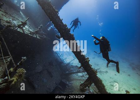 Plongée sous-marine explorant l'intérieur d'une épave submergée de Giannis D sur 30 septembre 2022 à Hurghada, Mer Rouge, Egypte. En avril 1983, Giannis D a été chargé de bois d'œuvre à Rijeka, en Croatie, destiné à l'Arabie saoudite et au Yémen. Le navire traverse la Méditerranée et traverse le canal de Suez. Le 19 avril 1983, il s'approchait à pleine vitesse du détroit de Gobal lorsqu'il a été vu soudainement dévier et s'écraser lourdement dans le coin nord-ouest de la crête Sha'ab Abu Nuhas. L'équipage a abandonné le navire et a été secouru en toute sécurité. L'épave submergée de Giannis D est située à une profondeur de 4 à 2 Banque D'Images