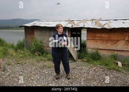 Hughes, Alaska, 7 juillet 2013 Belinda Dougan, spécialiste de l'atténuation de la FEMA, travaille dans cette communauté au sujet des dangers associés à la croissance de moisissures dans la maison après une inondation. La FEMA a répondu par une équipe de spécialistes pour inspecter les maisons des personnes touchées par de graves inondations dans la région de Koyukuk. Adam Dubrowa/FEMA. Photographies relatives aux programmes, aux activités et aux fonctionnaires de gestion des catastrophes et des situations d'urgence Banque D'Images