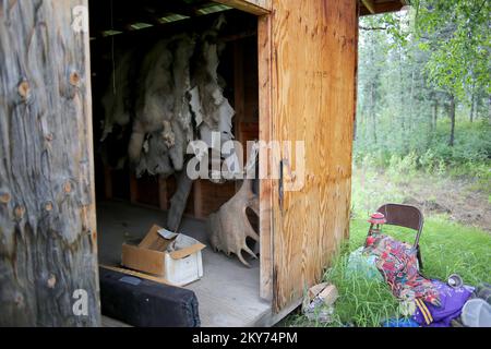 Hughes, Alaska, 7 juillet 2013 les ornières et les fourrures sèchent dans un hangar en bois après une récente inondation qui a saturé les peaux et les cornes de trophées de ce propriétaire. Les particuliers et les propriétaires d'entreprise qui ont subi des pertes dans la zone désignée peuvent commencer à demander de l'aide en s'inscrivant à www.disasterassistance.gov ou en composant le 1-800-621-FEMA (3362). Adam Dubrowa/FEMA. Photographies relatives aux programmes, aux activités et aux fonctionnaires de gestion des catastrophes et des situations d'urgence Banque D'Images