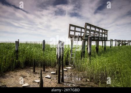 Bay point (N.J.), le 15 août 2013 Une échelle et des pillages mènent à l'emplacement d'une maison démolie du canton de Lawrence, dont l'une des nombreuses est tombée de sa fondation par le Superstorm Sandy. Le canton prévoit demander le remboursement fédéral des démolitions. New Jersey ouragan Sandy. Photographies relatives aux programmes, aux activités et aux fonctionnaires de gestion des catastrophes et des situations d'urgence Banque D'Images