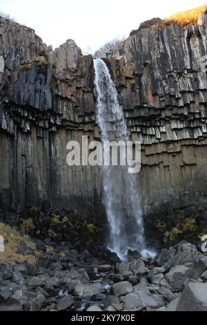 Chutes Svartifoss Banque D'Images