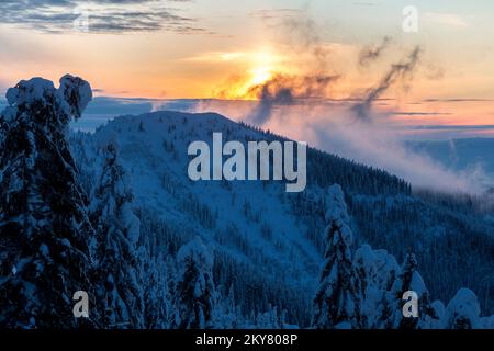 Coucher de soleil spectaculaire sur le Mont Polonynka avec couloirs entre forêt d'épicéa couverte de neige, hiver dans le paysage des Carpates concept extérieur Banque D'Images