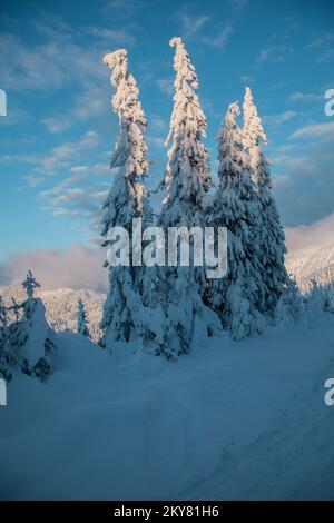 Paysage de montagne d'hiver au lever du soleil. Arbres givré sous la lumière du soleil. Magnifique paysage viticole Banque D'Images