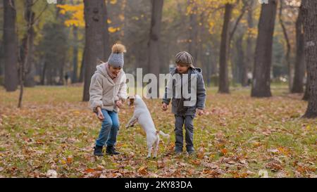 Les enfants du Caucase marchent avec le Jack russell terrier dans le parc d'automne. Garçon, fille et chien sautent à l'extérieur. Banque D'Images