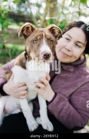 Jeune femme jouant avec son chiot et appréciant le moment Banque D'Images