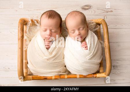 Petits garçons jumeaux nouveau-nés dans des cocons blancs dans un panier en bois avec des jouets à l'ours. Banque D'Images