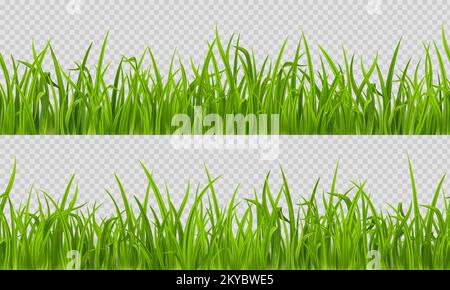 Pelouse sans couture, motif horizontal vert réaliste isolé sur fond transparent. Texture des prairies d'été ou de printemps, carreaux d'herbes, lames herbacées luxuriantes, bordures de paysage, illustration vectorielle 3D, Illustration de Vecteur