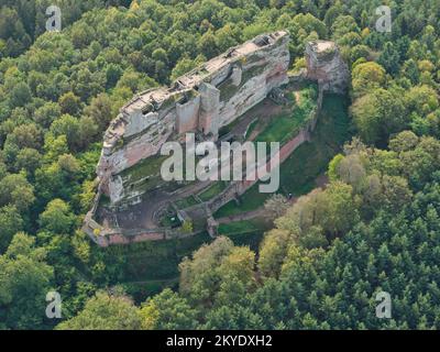 VUE AÉRIENNE. Ruines du château de Fleckenstein au sommet d'une butte en grès très étroite et élevée. Lembach, Bas-Rhin, Alsace, Grand est, France. Banque D'Images