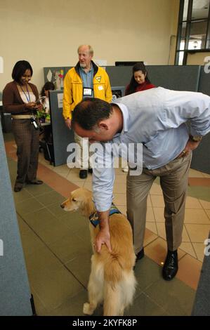 Ouragan Katrina, Biloxi, divers, 20 février 2006 -- l'officier de coordination fédéral (FCO) de la FEMA, Nick Russo, salue l'intervention en cas de crise K-9, l'aumônier Georgie, lors de sa visite au bureau de campagne conjoint de Biloxi. Georgie et son escorte, l'aumônier Ralph Buchhorn (blouson jaune), ont rendu visite à des résidents touchés par l'ouragan Katrina. Mark Wolfe/FEMA Banque D'Images