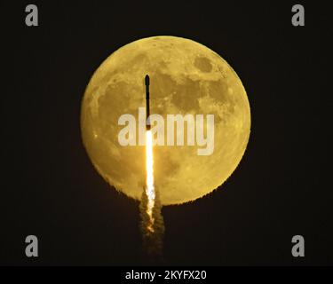 Merritt Island, États-Unis. 08th octobre 2022. Une fusée SpaceX Falcon 9 transite une lune presque complète alors qu'elle se lance à partir du complexe 40 à la station de la Force spatiale du Cap Canaveral, en Floride, samedi, 8 octobre 2022. Deux satellites Galaxy Communications sont embarqués pour Intelsat. Photo de Joe Marino/UPI crédit: UPI/Alay Live News Banque D'Images