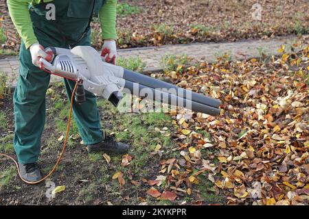 Homme méconnaissable homme enlever les feuilles d'automne sèches à l'aide d'un aspirateur de jardin dans le jardin. Le jardinier élimine les feuilles avec un souffleur à dos. Faible niveau de visualisation Banque D'Images