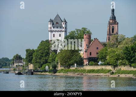 Rhein, Wehrturm Kurürstliche Burg, Burg Crass, Pfarrkirche Sankt Peter und Paul, Eltville, Hessen, Deutschland Banque D'Images