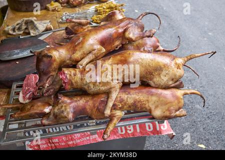 Nourriture pour chiens en vente dans un restaurant Hanoi Vietnam - un exemple de la nourriture étrange ou bizarre mangée par les gens du monde entier Banque D'Images