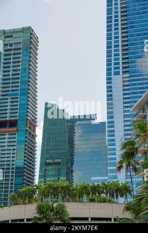 Façade de luxe de condominiums à Miami, Floride. Plan vertical de bâtiments à plusieurs étages avec extérieur en verre réfléchissant et vue sur les arbres sur un Banque D'Images