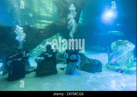 Madrid, Espagne. 01st décembre 2022. Les plongeurs vêtus comme les trois Sages sont vus sous l'eau après avoir placé la scène traditionnelle de la Nativité de Noël dans le réservoir de requin de l'aquarium dans le zoo de Madrid, dans le cadre des célébrations de Noël. Credit: Marcos del Mazo/Alay Live News Banque D'Images