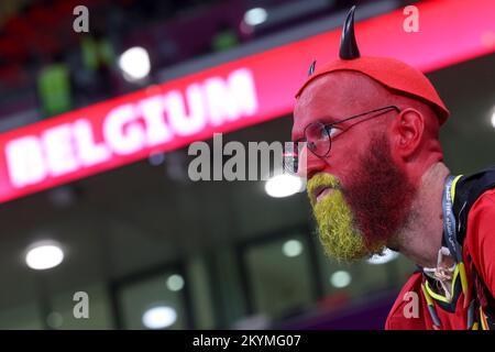 Doha, Qatar, 01/12/2022, Al Rayyan, Qatar. 01st décembre 2022. Le supporter belge photographié avant un match de football entre l'équipe nationale belge les Red Devils et la Croatie, troisième et dernier match du Groupe F de la coupe du monde FIFA 2022 à Al Rayyan, État du Qatar, le jeudi 01 décembre 2022. BELGA PHOTO VIRGINIE LEFOUR crédit: Belga News Agency/Alay Live News crédit: Belga News Agency/Alay Live News crédit: Belga News Agency/Alay Live News Banque D'Images