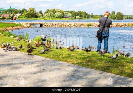 Valdai, Russie - 6 août 2022: Мan nourrit des pigeons et des canards en été sur les rives du lac Valdai Banque D'Images