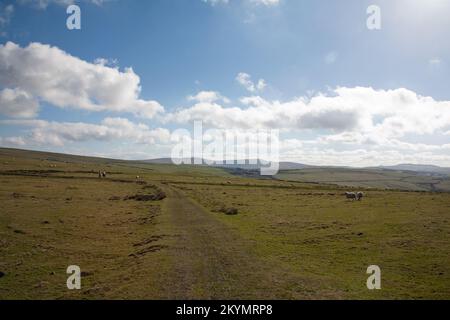 Une vue de près de Sponds Hill près de Bowstonegate au-dessus de Lyme Park Cheshire Angleterre Banque D'Images