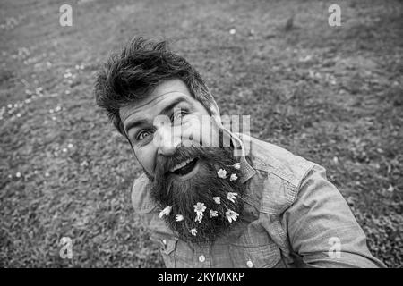 Taille basse sur Happy face, sur l'herbe, défoqué. Homme avec la barbe aime le printemps, vert prairie fond. Type avec des fleurs de celandine moins en barbe Banque D'Images