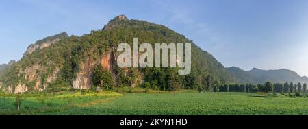 Paysage panoramique avec belle montagne karstique et champ d'arachides dans la pittoresque vallée agricole près de Chiang Dao, Chiang Mai, Thaïlande Banque D'Images