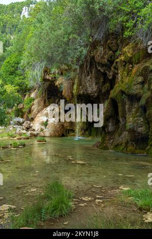 Le printemps de la rivière Cuervo (Nacimiento del Rio Cuervo) à Cuenca, Castilla la Mancha, Espagne Banque D'Images