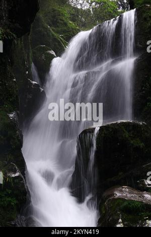 Belle cascade Paysage sur le chemin de Lachen de Gantok, Sikkim, Inde. Banque D'Images