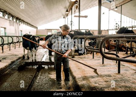 Femme paysanne de nettoyage avec pelle dans la ferme laitière Banque D'Images