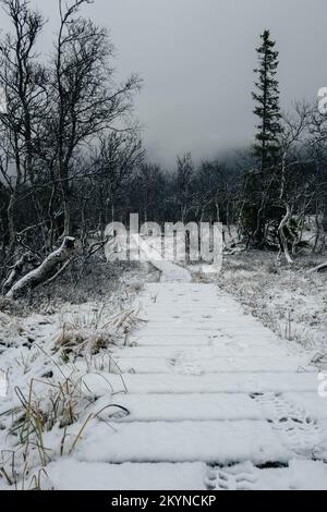 Paysage brumeux sombre, chemin dans la montagne norvégienne jusqu'au sommet de Rogne Banque D'Images