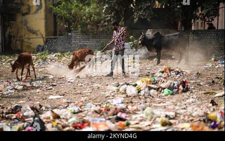 Homme balayant les ordures avec un balai et de la grande zone de déchets en polyhthène, homme nettoyant la zone polluée, journée de contrôle de la pollution, concept de pollution Banque D'Images