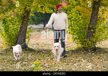 Photo d'un homme d'âge mddle et de deux chiens, Golden Retriever, marchant dans le parc. Amitié et soins pour les animaux de compagnie. Banque D'Images