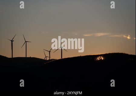 Les éoliennes, source d'énergie renouvelable, sont silhouetées au lever du soleil sur une colline. Banque D'Images