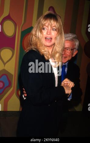 Goldie Hawn au NBC Winter TCA Press Tour et à la célébration du 25th anniversaire de Rowan & Martin sur 15 janvier 1993 à l'hôtel Loews Santa Monica Beach à Santa Monica, Californie. Crédit: Ralph Dominguez/MediaPunch Banque D'Images