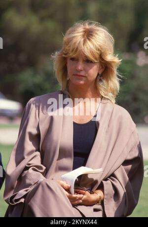 Goldie Hawn à la Caravan Hollywood Clean Water California, 1986. Avec Rae Dawn Chong, Chevy Chase et Goldie Hawn. Les acteurs, ainsi que des dizaines d'autres, ont visité l'État pour soutenir la proposition 65 de Californie, qui était une initiative des électeurs pour réduire ou éliminer la contamination chimique des sources d'eau potable crédit: Ralph Dominguez/MediaPunch Banque D'Images