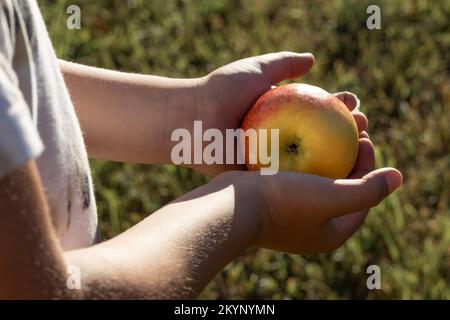 Enfant tenant une pomme mûre Banque D'Images