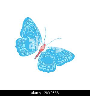 Motif papillon Diaethria Clymene sur fond blanc Illustration de Vecteur