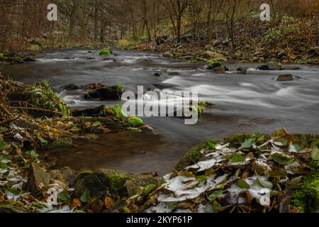 Rivière Loucka près de la ville de Tisnov en automne nuageux sombre jour humide Banque D'Images