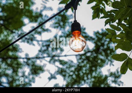 Une ampoule allumée est suspendue sur un arbre dans le jardin. Décoration de jardin festive. Banque D'Images