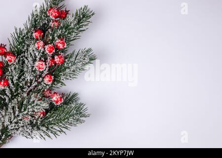 Sapin vert branche d'épinette d'arbre de noël avec houx recouvert de neige sur fond blanc vue de dessus avec espace de copie. Banque D'Images