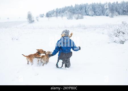 Une fille et ses deux chiens jouant dans la neige Banque D'Images