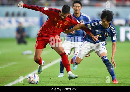 Doha, Qatar. 1st décembre 2022. Ferran Torres (L) d'Espagne rivalise avec Mitoma Kaoru du Japon lors de leur match du Groupe E à la coupe du monde de la FIFA 2022 au stade international de Khalifa à Doha, Qatar, le 1 décembre 2022. Credit: Xiao Yijiu/Xinhua/Alamy Live News Banque D'Images