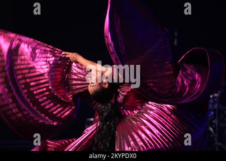 Mississauga, Canada. 11th juillet 2015. Une danseuse se produit pendant le Festival d'été de l'Asie du Sud à Mississauga, Ontario, Canada. (Photo de Creative Touch Imaging Ltd./NurPhoto) Credit: NurPhoto/Alay Live News Banque D'Images