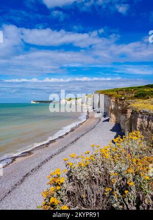 Seven Sisters Cliffs, Birling Gap, East Sussex, Angleterre, Royaume-Uni Banque D'Images