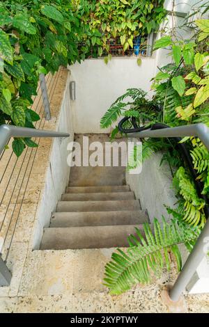 Escalier en béton avec vue sur le palier et les mains courantes depuis le dessus à Miami, Floride. Vue en grand angle d'un escalier en béton entre un mur avec des plantes. Banque D'Images