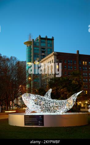 Vancouver (Colombie-Britannique) Canada – 20 novembre 2019 lumière Baleine de la baie English. Banque D'Images