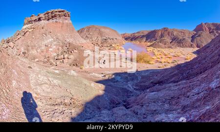 Un point d'eau marécageux dans le parc national de la Forêt pétrifiée Arizona appelé Tiponi Flats. Banque D'Images