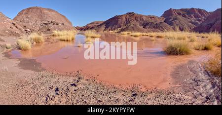 Un point d'eau marécageux dans le parc national de la Forêt pétrifiée Arizona appelé Tiponi Flats. Banque D'Images