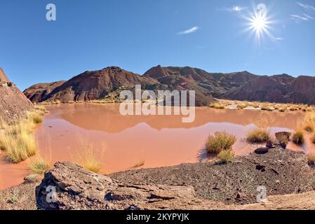 Un point d'eau marécageux dans le parc national de la Forêt pétrifiée Arizona appelé Tiponi Flats. Banque D'Images